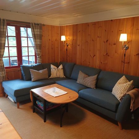 Hytte i Vrådal Villa Eksteriør bilde