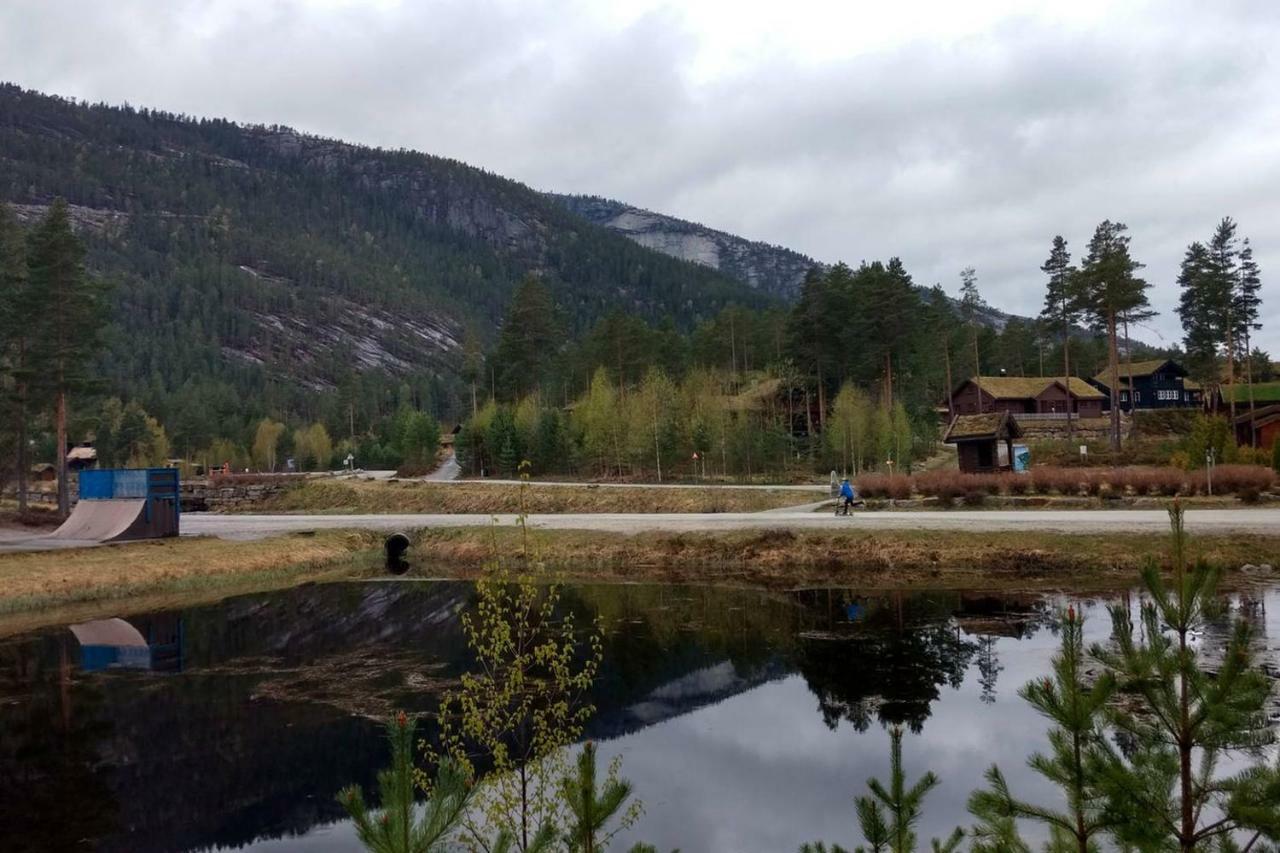 Hytte i Vrådal Villa Eksteriør bilde