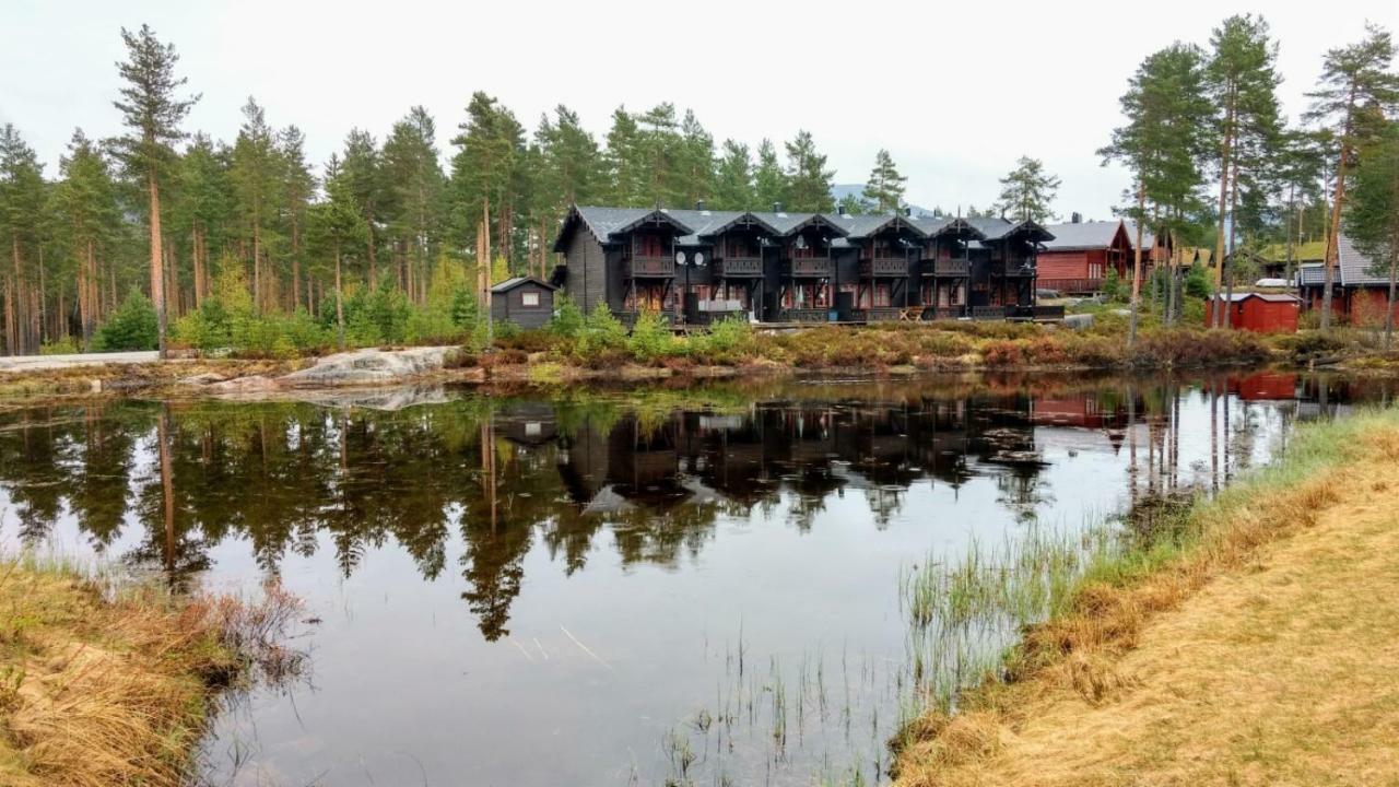 Hytte i Vrådal Villa Eksteriør bilde